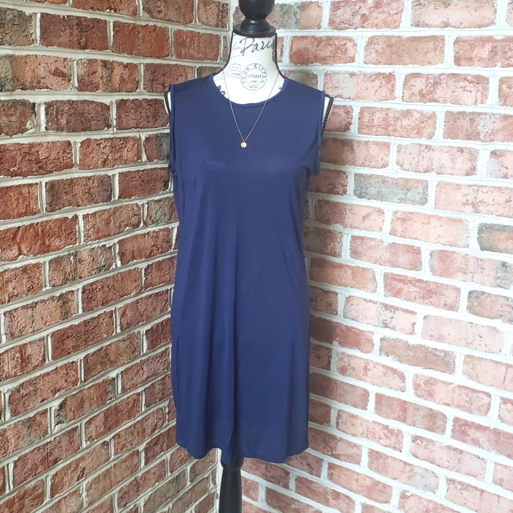 Everlane Navy Sleeveless Dress